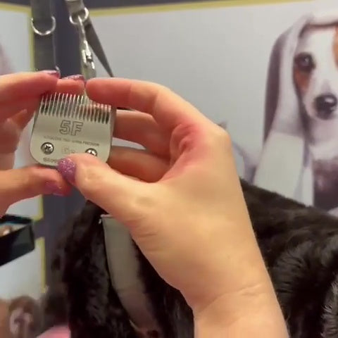 5F Dog Clipper Blade (6.4 mm)