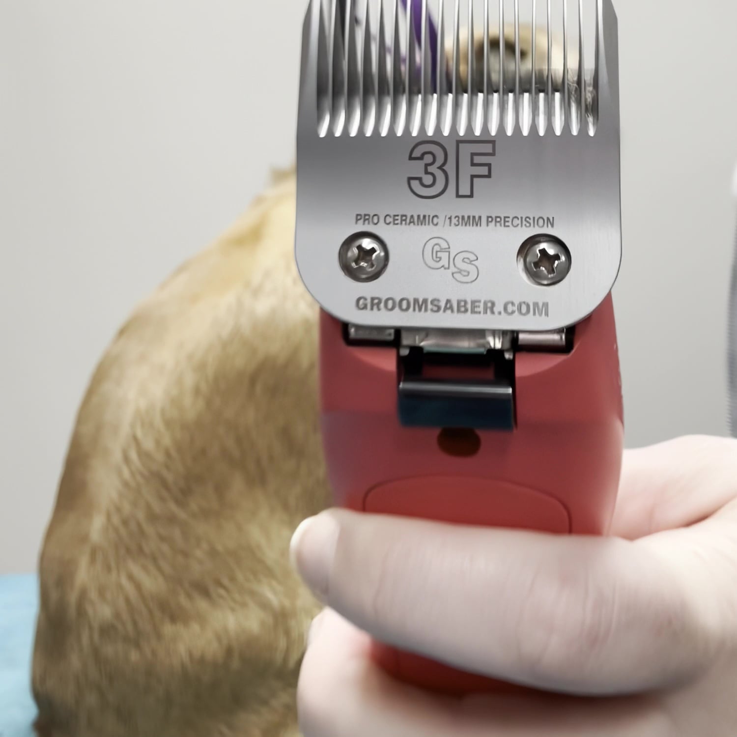 3F Ceramic Clipper Blade Demo